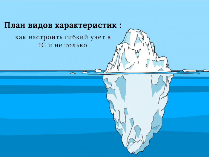 План видов характеристик (ПВХ): как настроить гибкий учет в 1С и не только